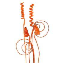 categoría Plantas exóticas