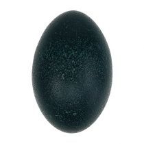 categoría Huevos y huevos de pascua