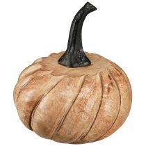 categoría Calabazas y cometas