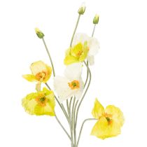 categoría Flor de jardín y flor de prado