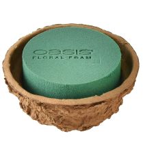 categoría Formas redondas de espuma floral