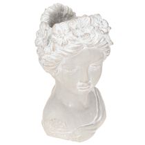 categoría Macetas de cerámica