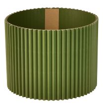 categoría Embalaje para flores