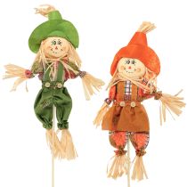 categoría Artículos decorativos para el otoño
