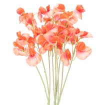 categoría Flor de jardín y flor de prado