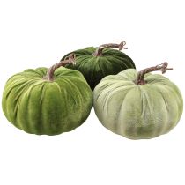 categoría Calabazas y cometas