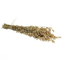 Artículo Hierba temblorosa, flores secas, verde natural, Briz, 60 cm, 100 g