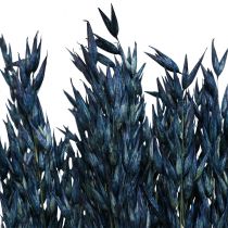 Artículo Flores secas, avena decoración de granos secos azul 68cm 230g
