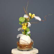Naturaleza de huevo de avestruz soplado decoración vacía