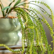 Artículo Planta artificial de mijo verde para elegantes decoraciones colgantes y elegantes detalles de habitación, 114 cm