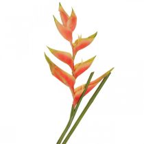 Artículo Heliconia artificial flores artificiales rosa exótica, verde H103cm