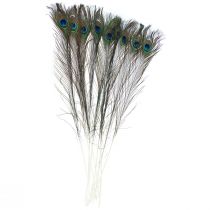 Plumas decorativas de plumas de pavo real para la elaboración de plumas de pájaro H78cm 10 piezas