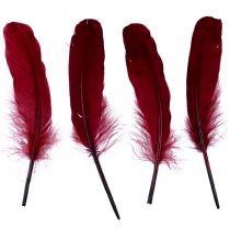 Artículo Plumas decorativas para manualidades, plumas de pájaro auténticas, rojo vino, 20g