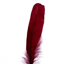 Artículo Plumas decorativas para manualidades, plumas de pájaro auténticas, rojo vino, 20g