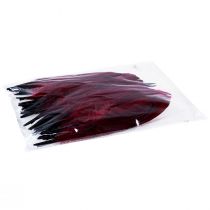Artículo Plumas decorativas para manualidades, plumas de pájaro auténticas, rojo vino, 20g