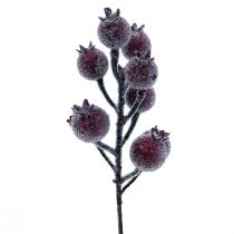 Rosa mosqueta rama baya rama escarcha planta artificial rojo 25cm 12pcs