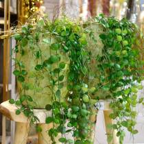 Artículo Planta colgante en maceta Planta verde artificial Cesta colgante