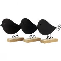 Artículo Pájaros decorativos pájaros de madera negros decoración de madera primavera 13,5 cm 6 piezas