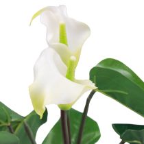 Artículo Cala Lily Kalla Flores Artificiales Flores Exóticas Blancas 34cm