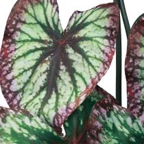Artículo Begonia Plantas Artificiales Hoja Begonias Verde Púrpura 62cm