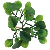 Artículo Planta verde artificial suculenta verde artificial Al. 14 cm