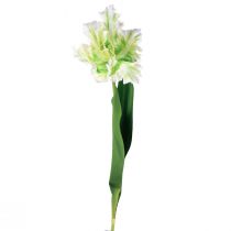 Artículo Flor artificial loro tulipán tulipán artificial verde blanco 69cm
