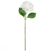 Artículo Hortensia decorativa hortensia bola de nieve blanca artificial 65cm