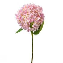 Artículo Hortensia artificial rosa claro flor artificial jardín flor 65cm