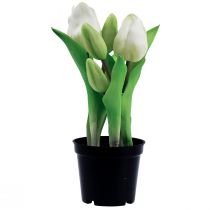 Artículo Tulipanes artificiales en maceta Tulipanes blancos flores artificiales 22cm