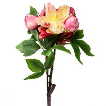 Peonías Flores De Seda Flores Artificiales Rosa Rosa 68cm