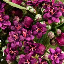 Artículo Flaming Käthchen Kalanchoe artificial violeta 24cm