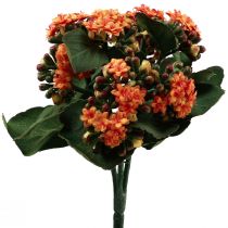 Artículo Flaming Käthchen Kalanchoe naranja artificial 24cm