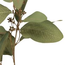 Artículo Rama de eucalipto rama decorativa artificial verde 60cm