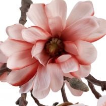 Artículo Rama de magnolia magnolia artificial salmón 58cm