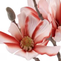 Artículo Rama de magnolia con 6 flores magnolia artificial salmón 84cm