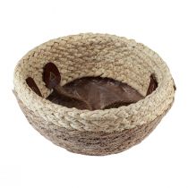 Artículo Cesta con asas, macetero, algas marinas, yute, Ø23cm H20cm, boho chic, decoración jungla urbana