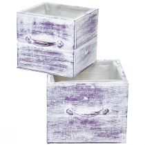 Artículo Cajón para plantas con tirador madera blanca violeta 12/15cm juego de 2