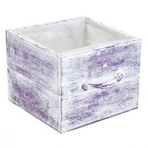 Artículo Cajón para plantas con tirador madera blanca violeta 12/15cm juego de 2