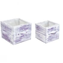 Artículo Cajón para plantas con tirador madera blanca violeta 12/15cm juego de 2