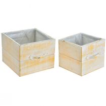 Artículo Cajón para plantas con tirador madera blanca naranja 12/15cm juego de 2