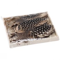 Artículo Colgante de plumas decorativo pluma natural de madera 9,5/10cm 9 piezas