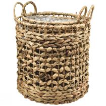 Artículo Juego de 2 cestas para plantas de algas marinas y jacinto de agua Ø31/26cm - cesta decorativa, cesta para flores, almacenamiento, ecológica, natural