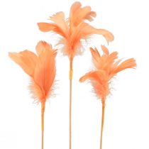 Artículo Plumas decorativas plumas de pájaro naranja en palo 36cm 12ud