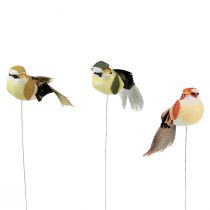 Artículo Pájaro de plumas sobre alambre pájaro decorativo con plumas verde 4cm 12pz