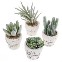 Suculentas artificiales en maceta plantas artificiales verde Ø4cm 12pcs