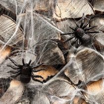 Artículo Figuras de araña y murciélago negras de 10 cm y 14 cm, 3 piezas