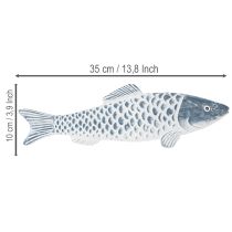 Artículo Pez de madera en azul y blanco, decoración de pez, harina de madera, 35 cm, 1 pieza