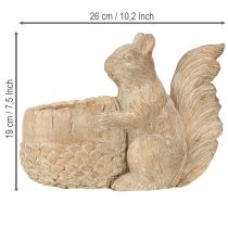 Artículo Jardinera con decoración de ardilla en piedra fundida 26×14×19cm