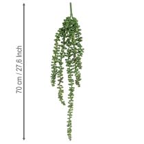 Artículo Guirnalda colgante de plantas artificiales con suculentas para decorar la sala de estar.