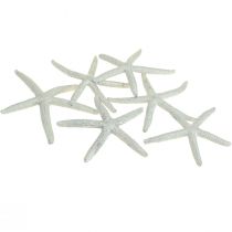 Estrella de mar plateada decoración marítima estrella de mar decoración de verano 7,5 cm 10 piezas